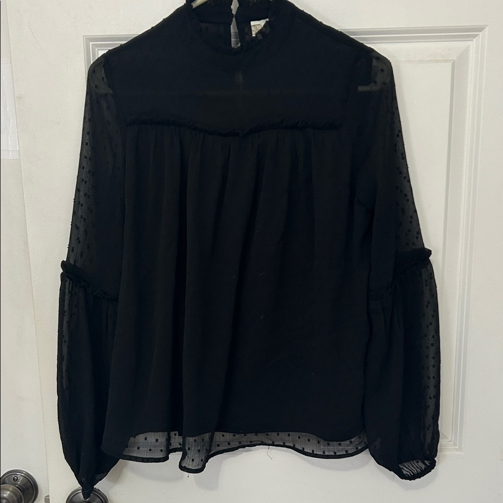 Japna Black Sheer Blouse with Ruffle Details